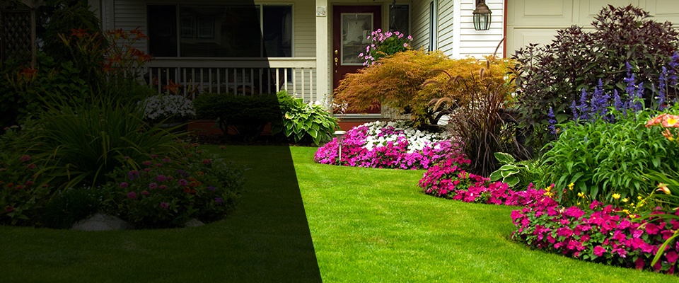 Dallas Landscapers
